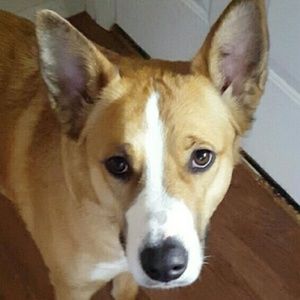 Meet your Posher, Kelli