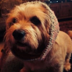 Meet your Posher, Candace