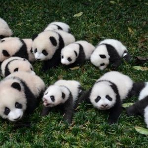 Meet your Posher, Donte