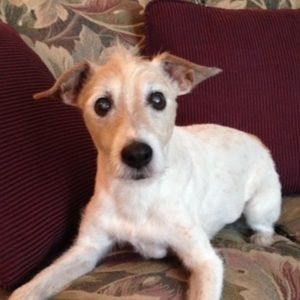 Meet your Posher, Gail