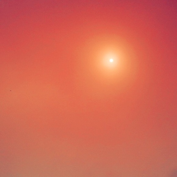 Meet your Posher, Giselle - Picture 1 of 1