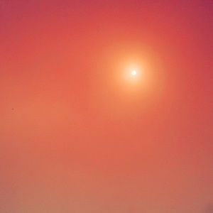 Meet your Posher, Giselle