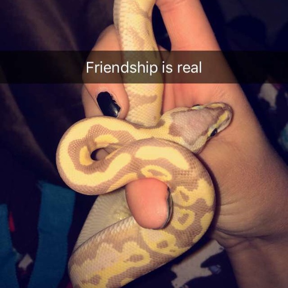 Meet your Posher, Aizlinn - Picture 2 of 2