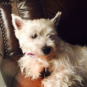 Meet your Posher, Judy