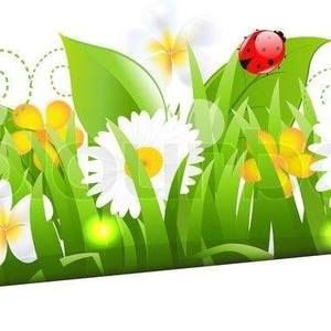 Meet your Posher, Janice