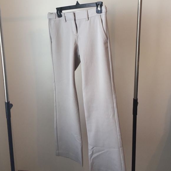 Express Columnist Dress Pants