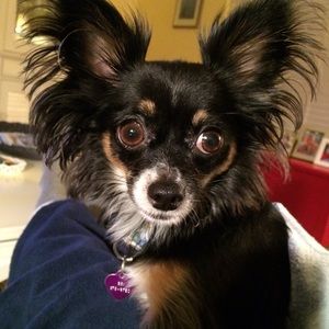 Meet your Posher, Lorrie