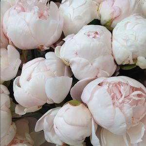 Meet your Posher, Alyson