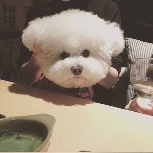 Meet your Posher, Chloe