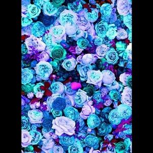 Meet your Posher, Leanna