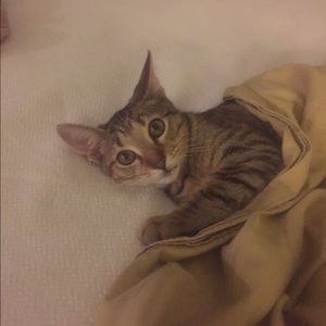 Meet your Posher, Gina