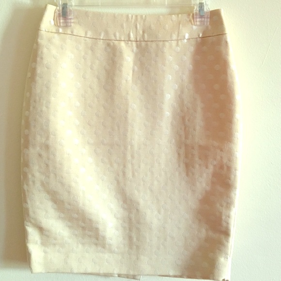 NWT Ann Taylor skirt