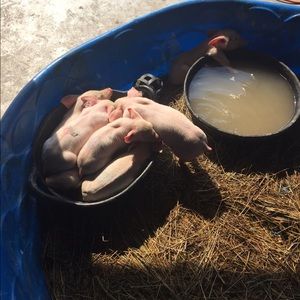 Meet your Posher, Brynn