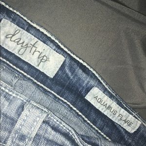 Daytrip Aquarius flare