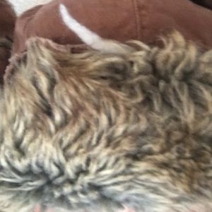 Meet your Posher, Chad