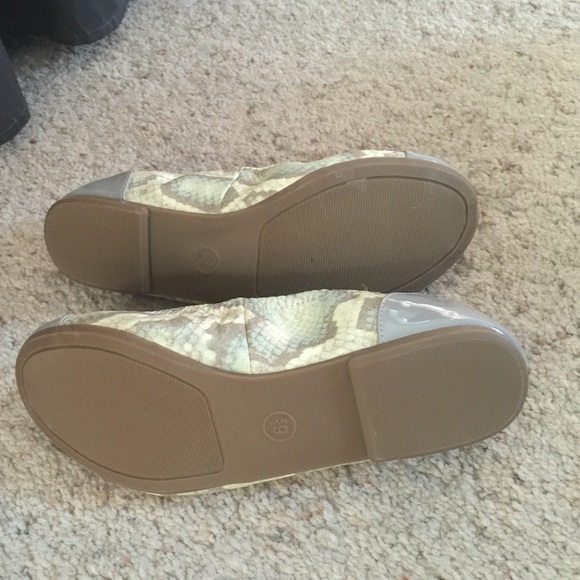 Python flats - Picture 3 of 4