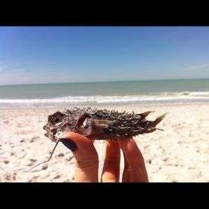 Meet your Posher, Haley