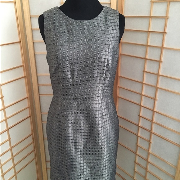 Size 6p Banana Republic dress