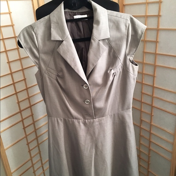 Size 6 Calvin Klein Dress
