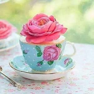 Meet your Posher, Pecas