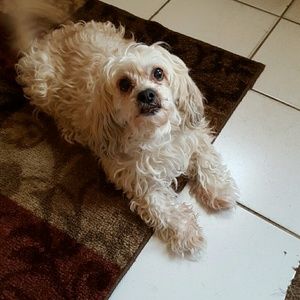 Meet your Posher, Olga