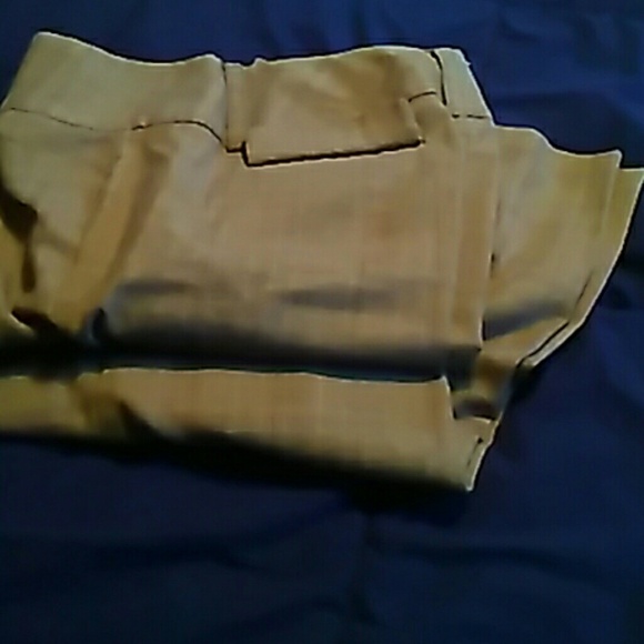 Ladies dress pants