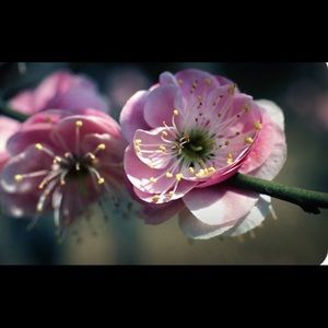 Meet your Posher, Mel