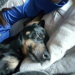 Meet your Posher, Araceli