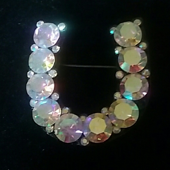 Horseshoe brooch