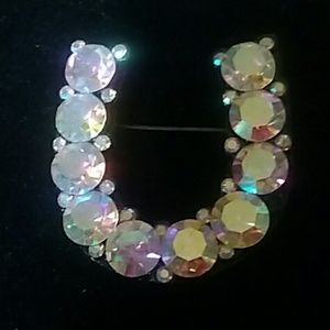 Horseshoe brooch