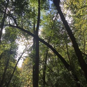 Meet your Posher, Lexi