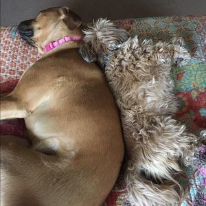 Meet your Posher, Laura