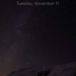 Meet your Posher, Rose