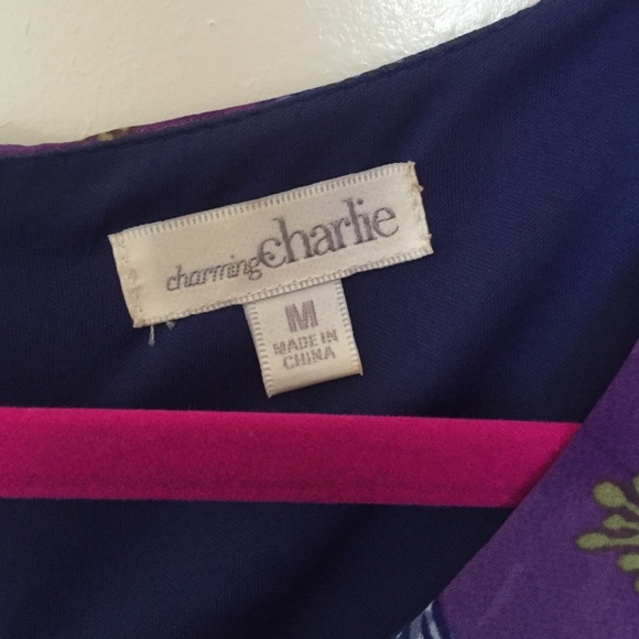 Charming Charlie's shift dress - Picture 2 of 4