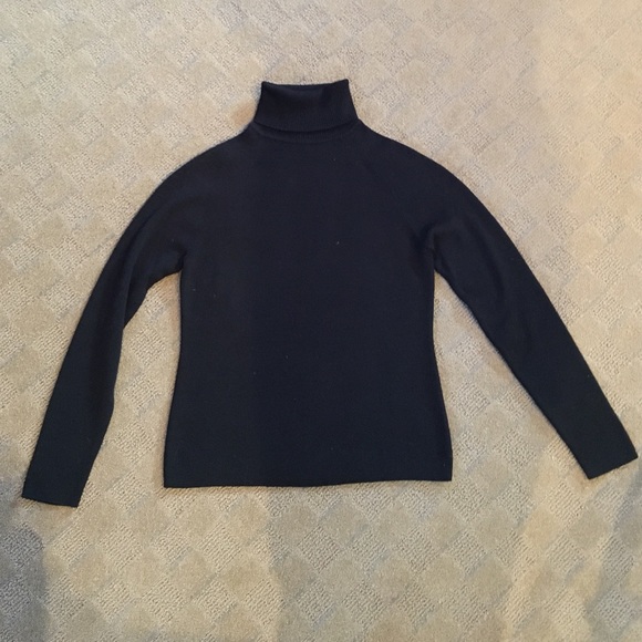 ANN TAYLOR LOFT: Turtleneck Sweater