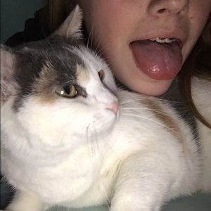 Meet your Posher, Morgan