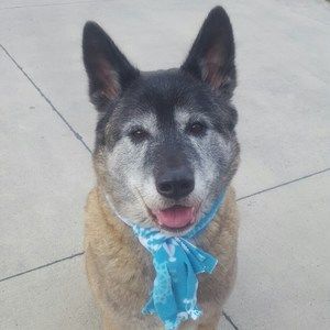 Meet your Posher, Kalelyn