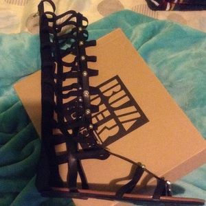Brand new gladiators sandals