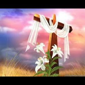 Meet your Posher, Shasta