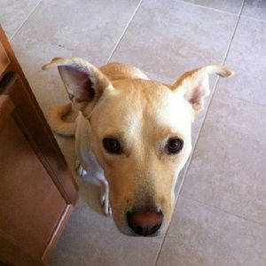 Meet your Posher, Sami