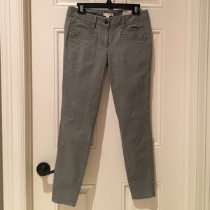 Loft camp pant