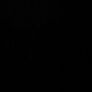 Meet your Posher, Hayden