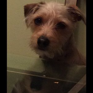 Meet your Posher, Jillian