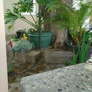 Meet your Posher, Rosa