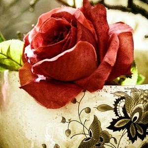 Meet your Posher, Juliana