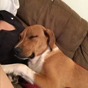 Meet your Posher, Brooke