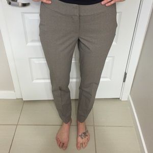 Loft Lightweight Pant