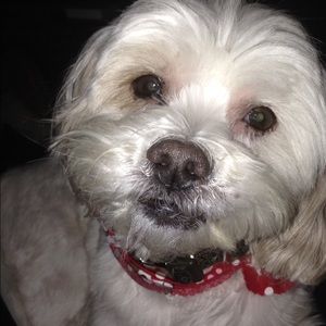 Meet your Posher, Barb