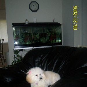 Meet your Posher, Lisa