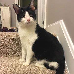 Meet your Posher, Michelle